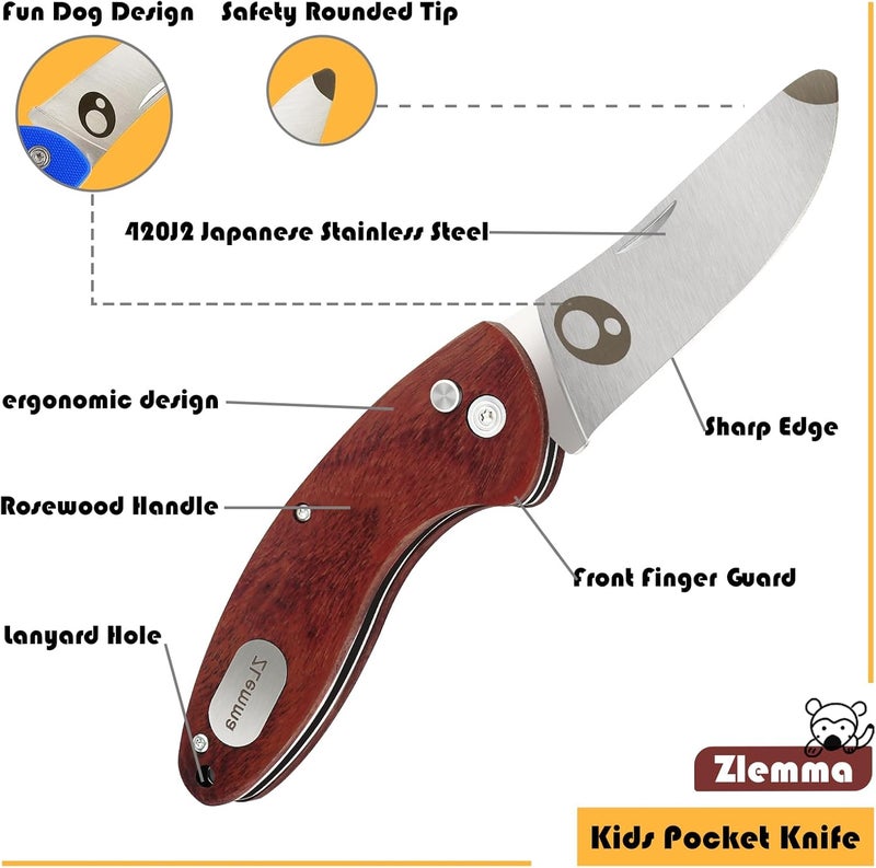 ZLemma Kids Pocket Knife with Sheath Set - Stainless Steel Children’s Folding Pocket Knife with Safety Rounded Tip - Image 5